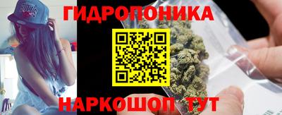 трава Бийск
